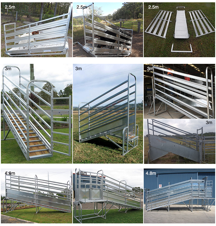 2.5m, 3.0m, 4.8m height loading ramp for corral cattles