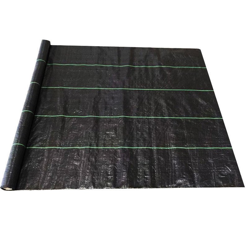 una imagen de una valla de limo tejida de color negro con una línea verde