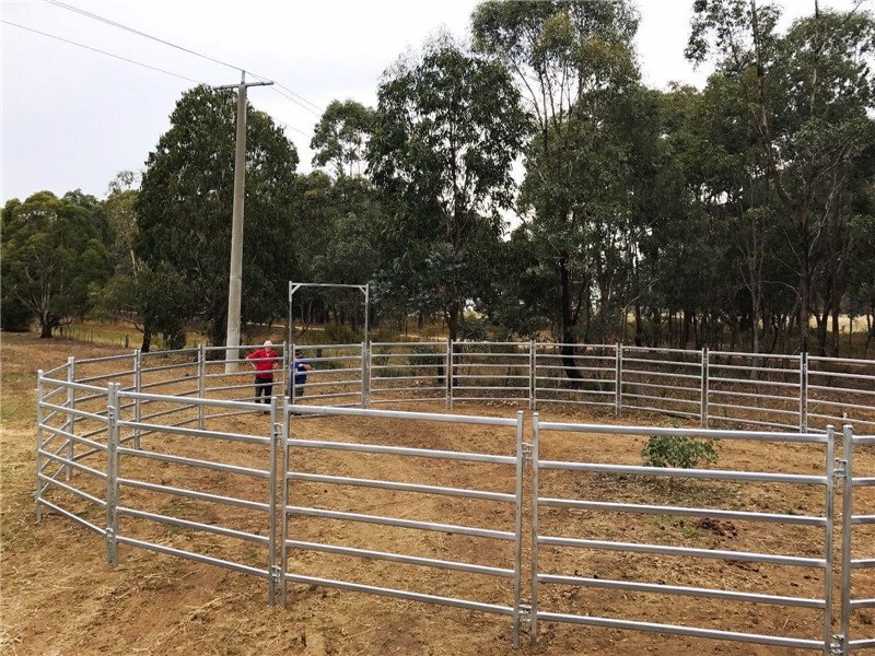 a picture of galvanised cattle round yard in ranch