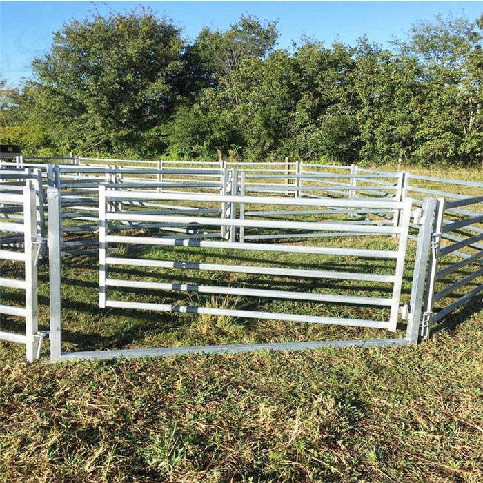 a picture of sheep panels installed with sheep gate