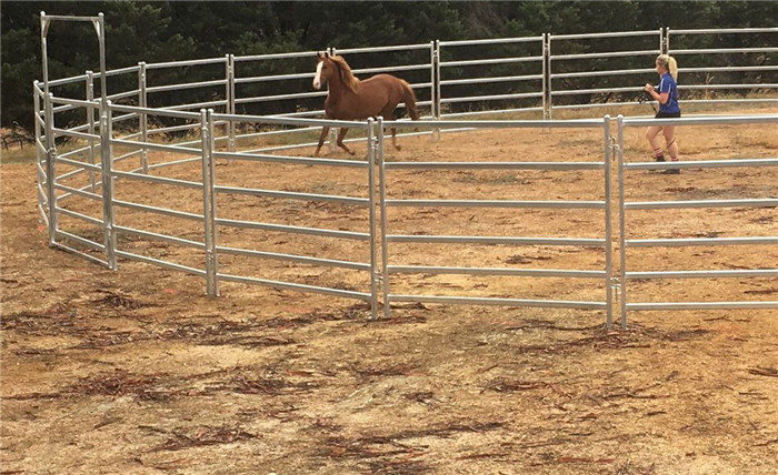 a picture of horse panels with gate around a running horse with a trainer