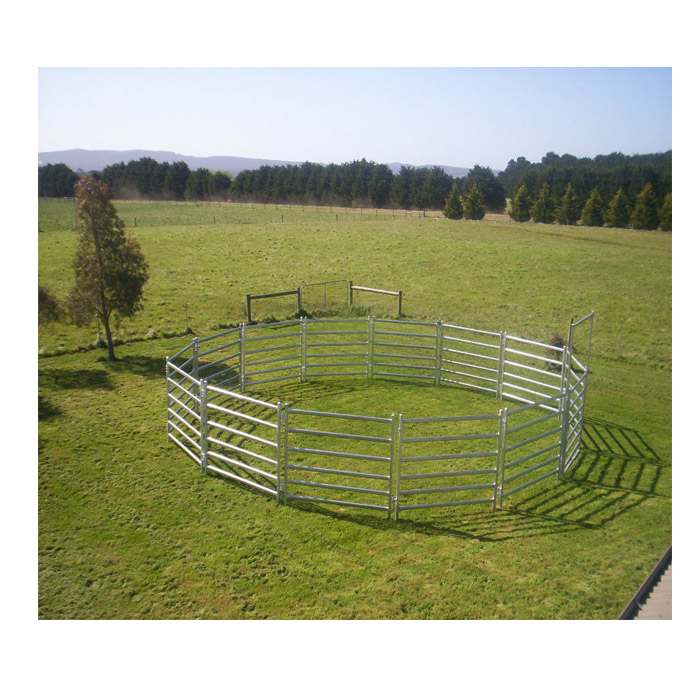 13 horse panels installed with horse gate to be a horse yard in ranch