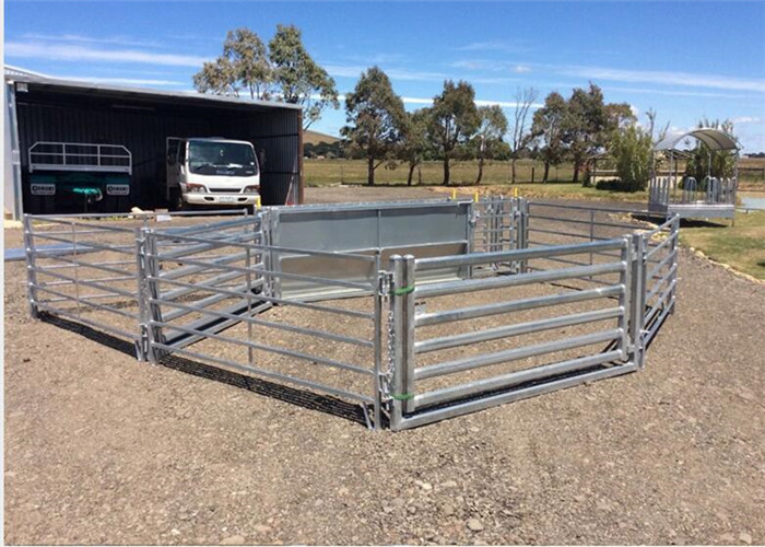 a picture of sheep race panels installed with pins to be sheep yard in farm