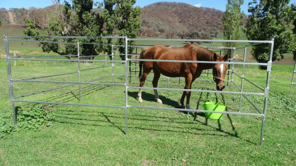 a picture of 4 rail galvanized horse float yard around a temporary horse.