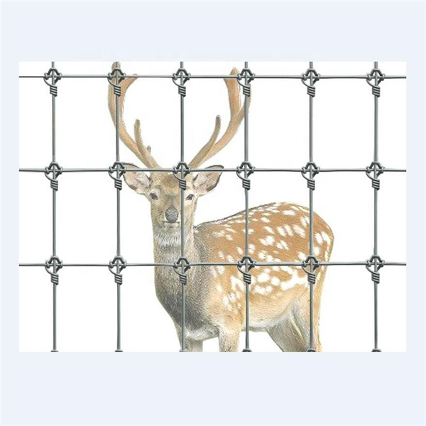 a picture of deer fence in front of sika deer