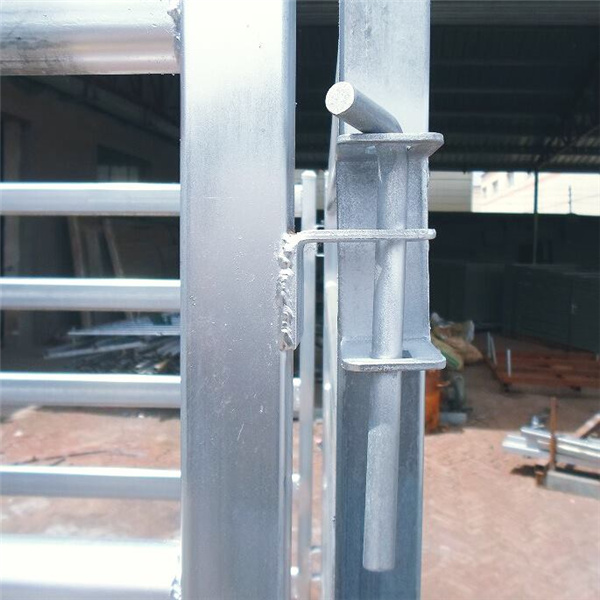 galvanised pin connected the two cattle panels