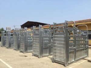 a picture of 6 manual cattle crush ready to ship
