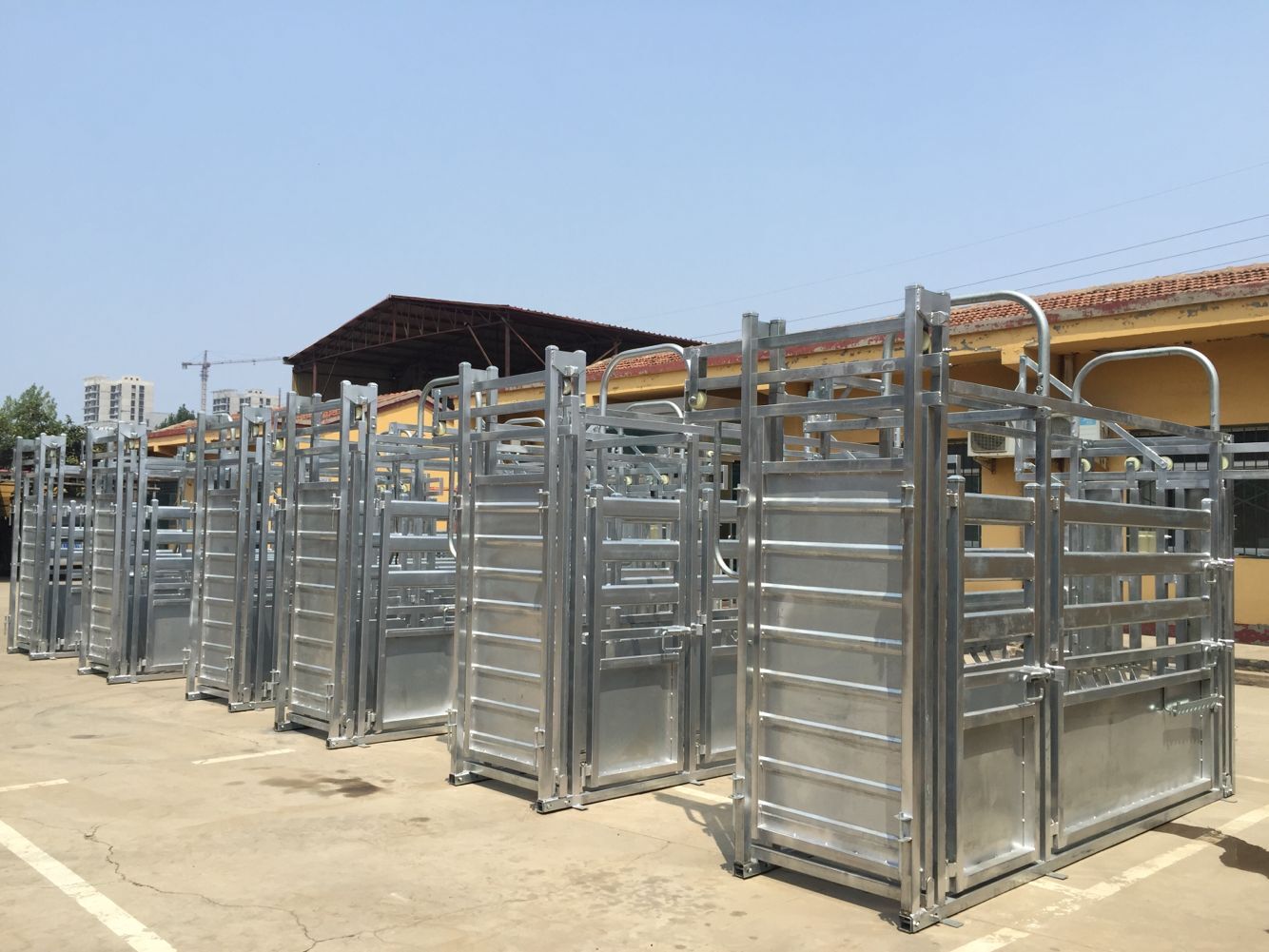 a picture of 6 manual cattle crush ready to ship