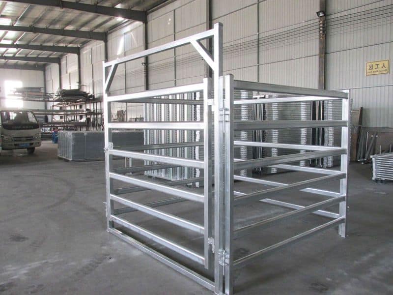 cattle panels installed with cattle gate