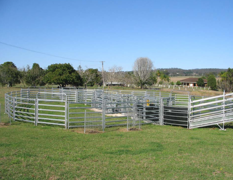 a picture of cattle yard