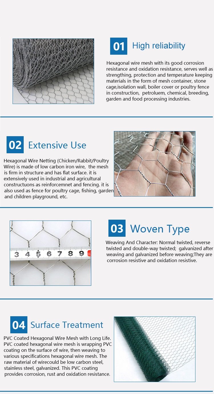 The features of hexagonal netting