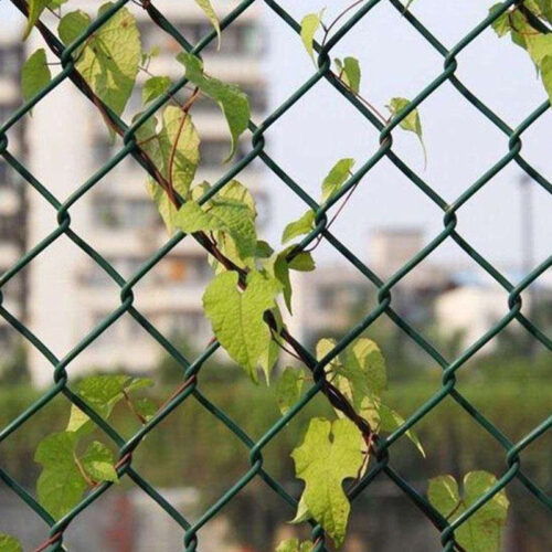 The green chain link fence