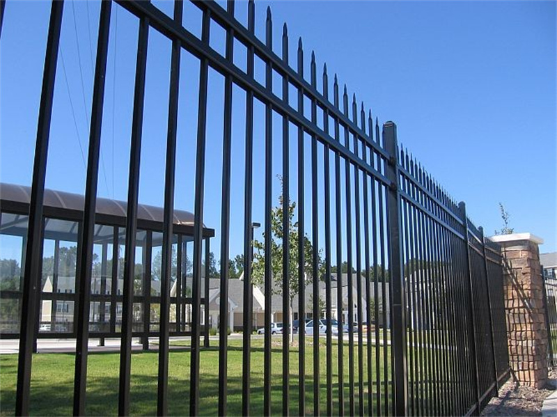 Australian Steel Fencing around a plant