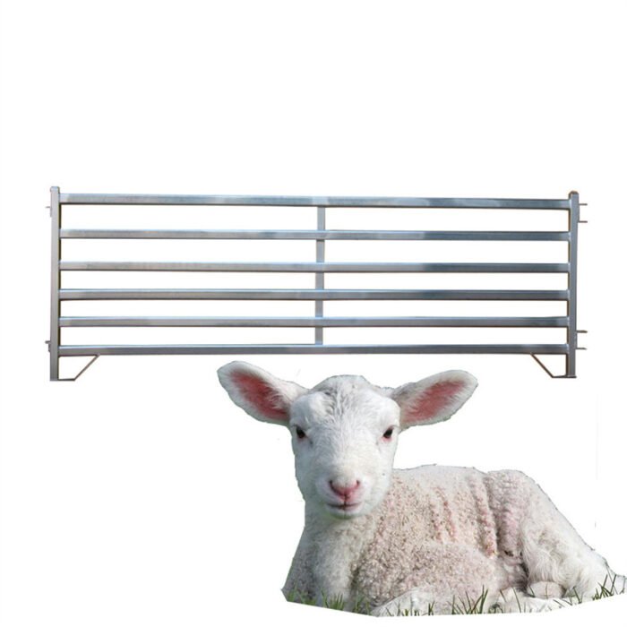 Una oveja con su panel de valla.