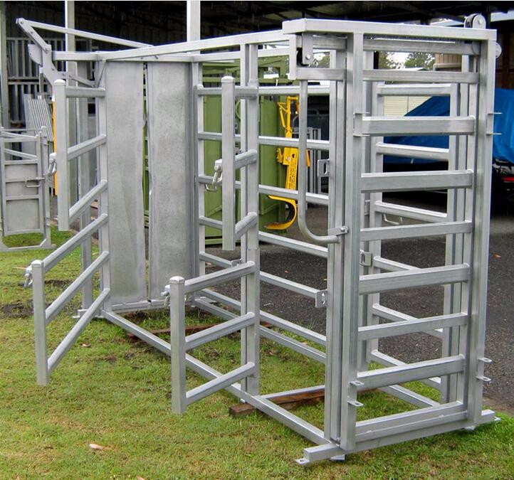 The galvanized cattle crush