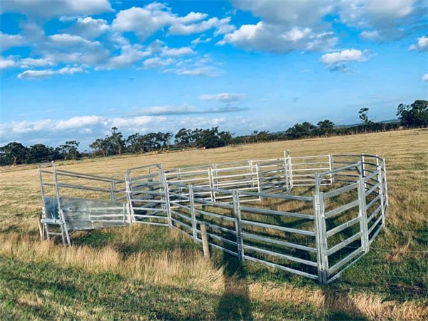 galvanized cattle round yard