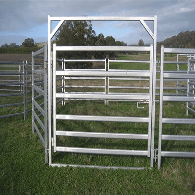 Competitive Cattle Panel Fence Supplies for Your Fencing Projects