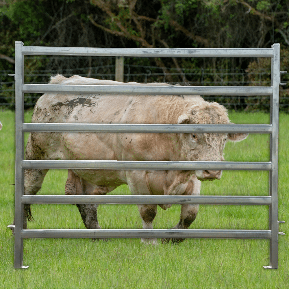 Galvanized cattle panel with no sharp edges, ensuring the safety and protection of livestock.