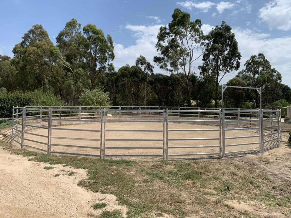 Painel para gado instalado em campo, capaz de suportar o impacto do gado sem causar danos.