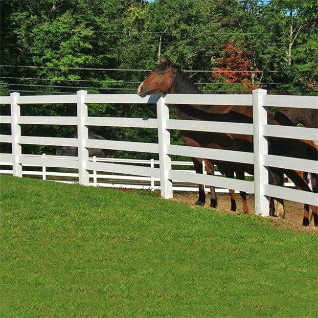 A white PVC fence with four horizontal rails enclosing a pasture where horses are standing. The fence provides a secure and visible boundary, while the green grass and trees in the background create a serene environment for the horses.