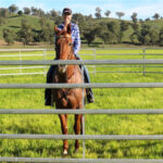 a horsewoman training the horse in square raile horse panels round yard