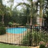 Black aluminum flat top fence with decorative rings installed around a backyard swimming pool, surrounded by lush greenery and palm trees, providing safety and a stylish appearance.