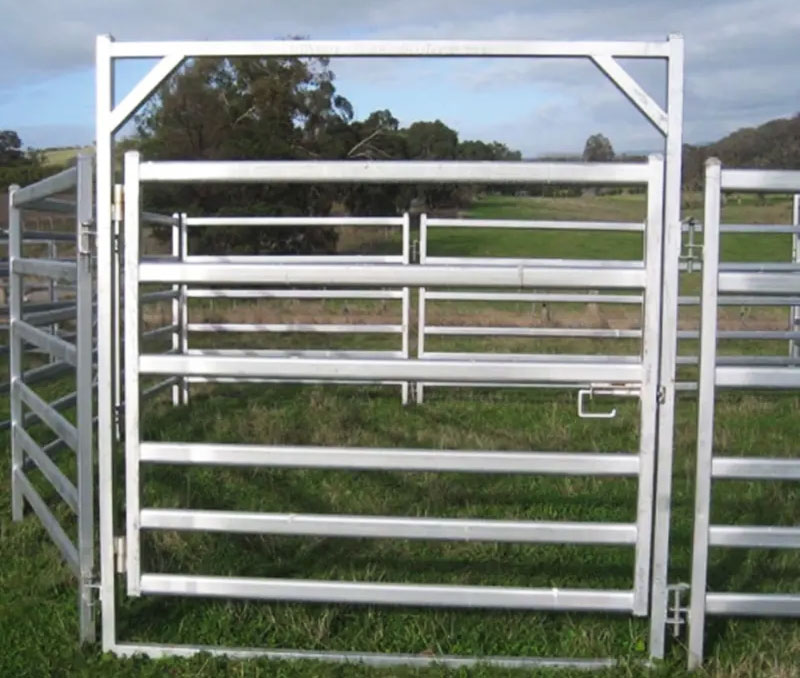 australia cattle panels 1