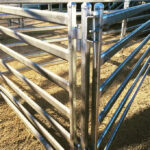 australia cattle panels 2