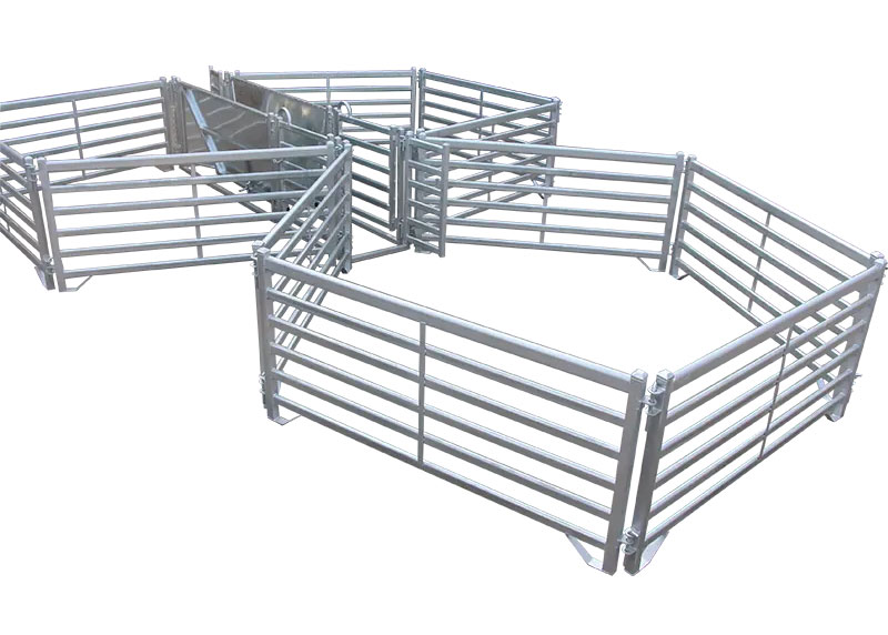 galvanised sheep panels 5