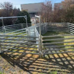 Compact cattle yard setup with galvanized panels and integrated gates.