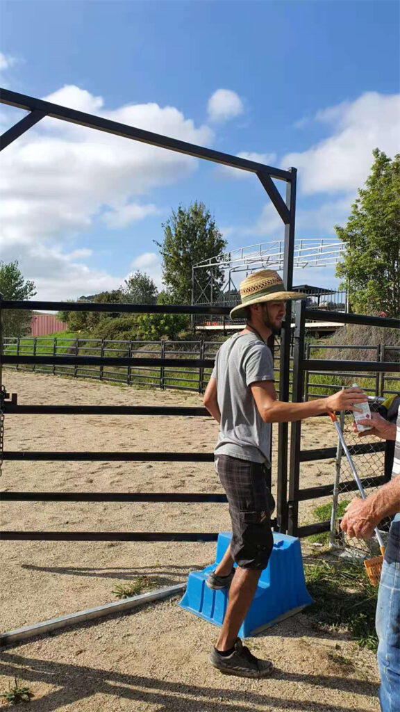 Circular cattle panel round pen setup in a rural field, ideal for cattle sorting and management.