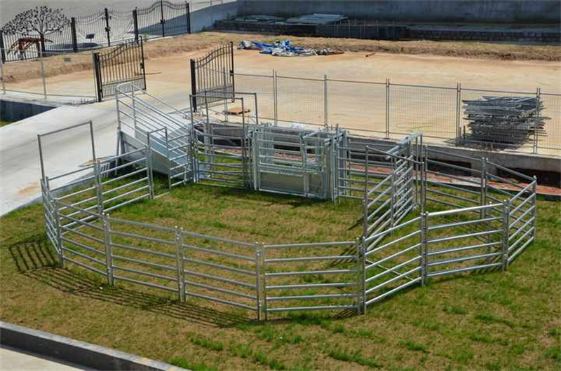 corral panels for sale