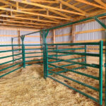 Indoor cattle yard featuring green-painted steel cattle panels with secure gates and hay-strewn flooring.