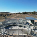 Modern livestock handling system with galvanized gates and panels, featuring a circular design for efficient cattle movement on a spacious rural farm.