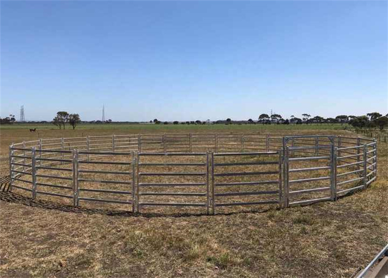 pipe cattle fence