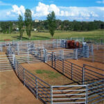 Sturdy portable livestock panels designed for easy setup and mobility.