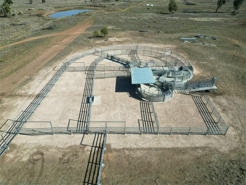 Aerial view of a large cattle pen setup, demonstrating the extensive use of steel bull panels for efficient farm operations.