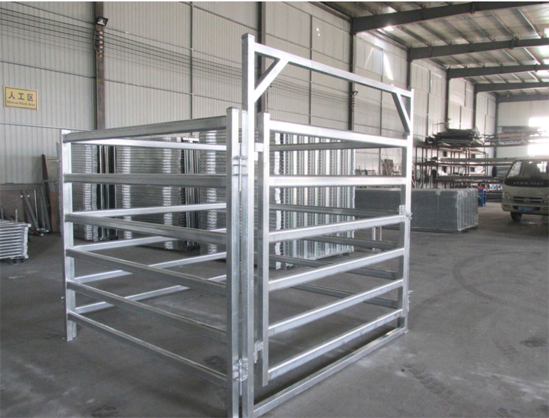 steel pipe cattle fencing