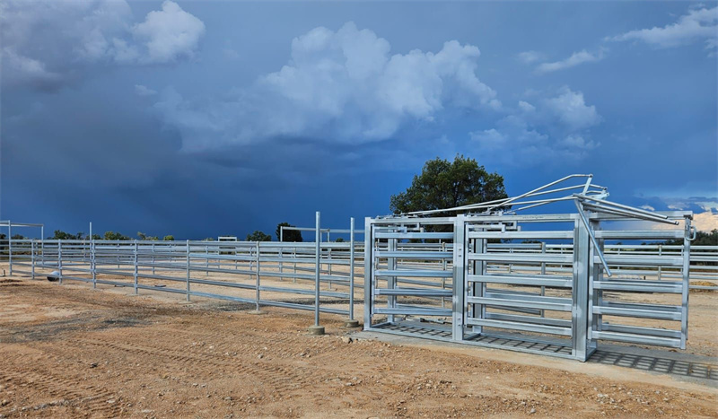 steel pipe cattle fencing