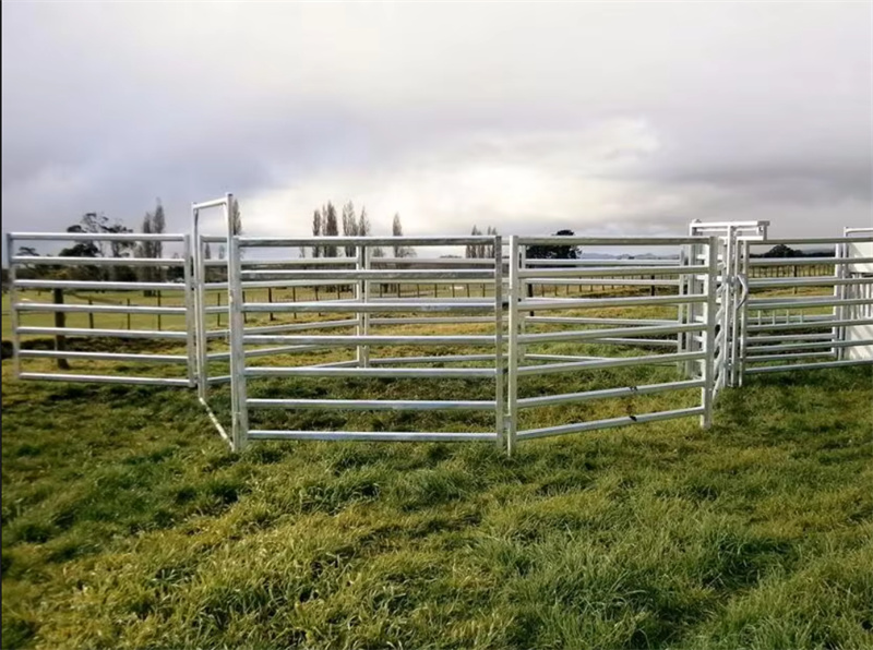 Heavy-duty galvanised stockyard panels installed in a lush green field, designed to withstand harsh weather conditions while providing secure containment for livestock.