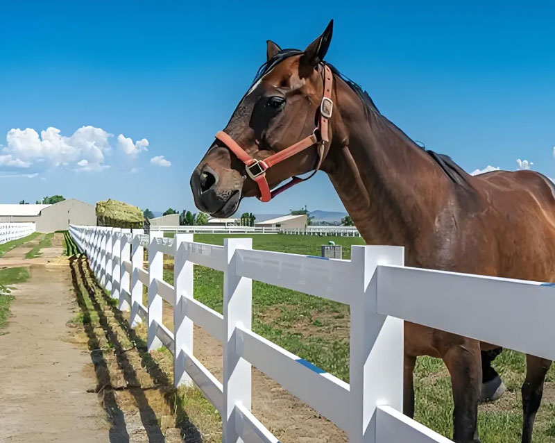 Discover our UV-resistant white PVC horse arena fencing, a durable and low-maintenance fencing solution perfect for equine enthusiasts and horse paddocks.