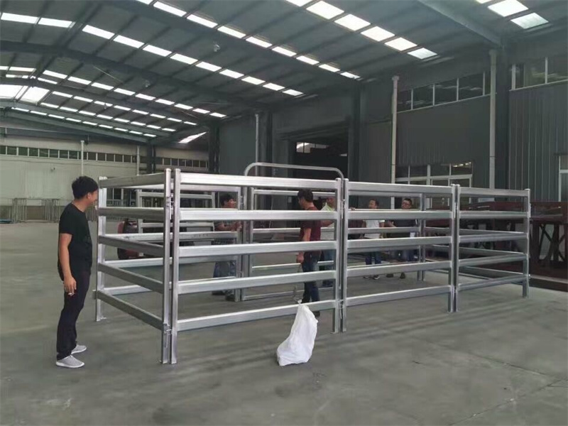 Budget-friendly steel cattle panels being set up in a warehouse, highlighting their strong vertical and horizontal rails and easy installation for rural applications.