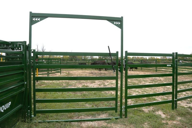 Steel cattle gate system painted green, designed for secure livestock containment.