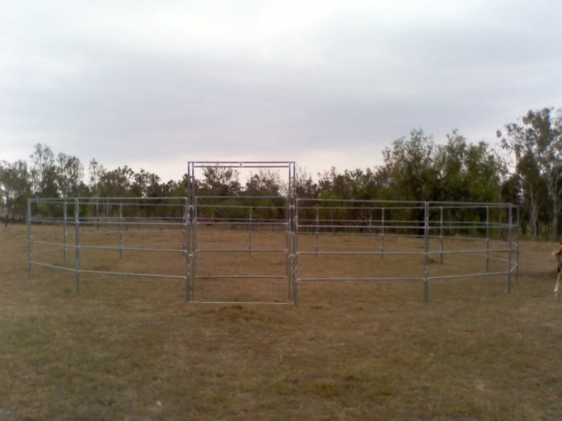 Safe horse enclosure with smooth-edged panels, ensuring the well-being of horses.