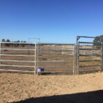 A circular horse round yard with two horses grazing inside, surrounded by sturdy galvanized panels, set in a picturesque rural landscape.