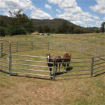 Two horses grazing inside a round yard made of galvanized panels, surrounded by a scenic rural landscape with trees and hills.