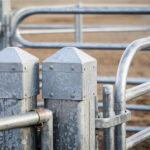 Galvanized metal fence posts and panels close-up, showcasing the sturdy construction and durability of horse fencing.