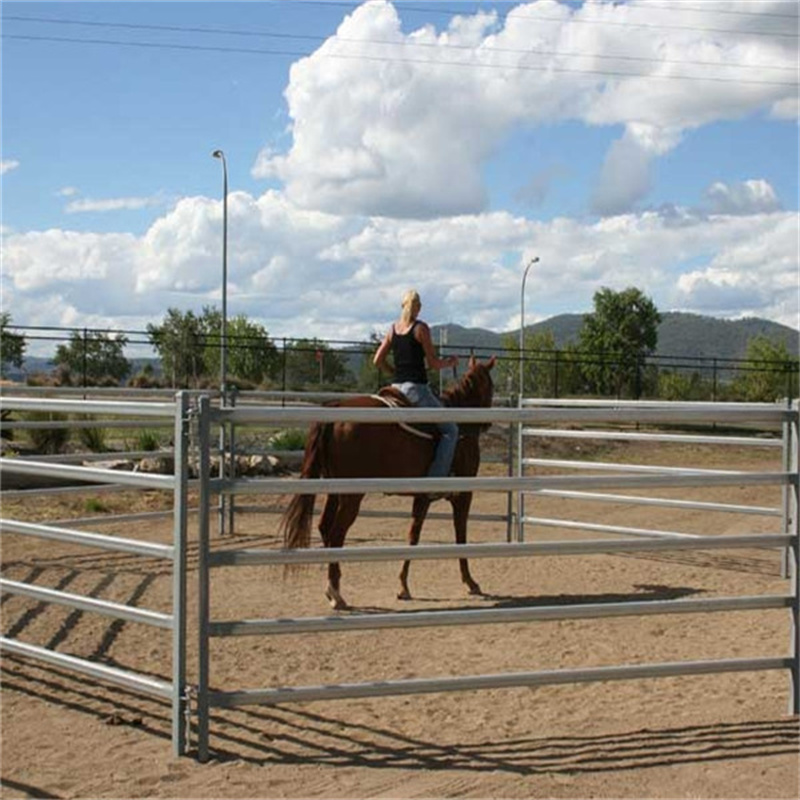 A rider on horseback inside a sand-floored arena, enclosed by galvanized steel horse panels, with a scenic sky in the background.