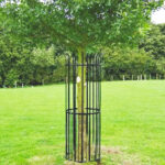 The Ultimate Guide to Metal Tree Guards: Protecting Your Investment in Urban and Rural Spaces