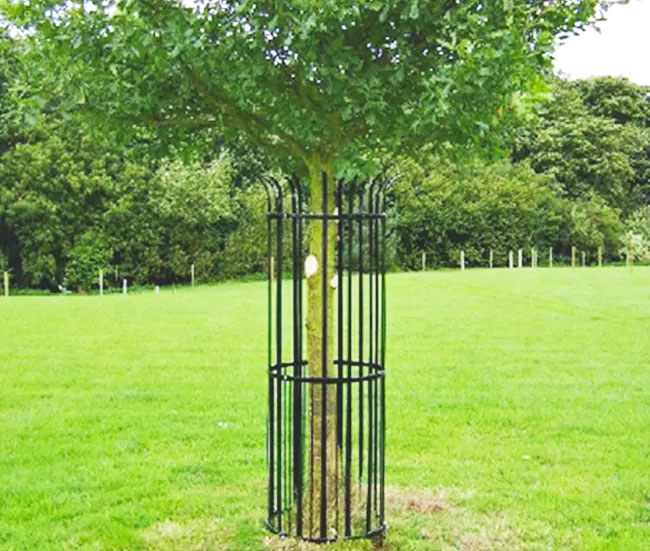 The Ultimate Guide to Metal Tree Guards: Protecting Your Investment in Urban and Rural Spaces